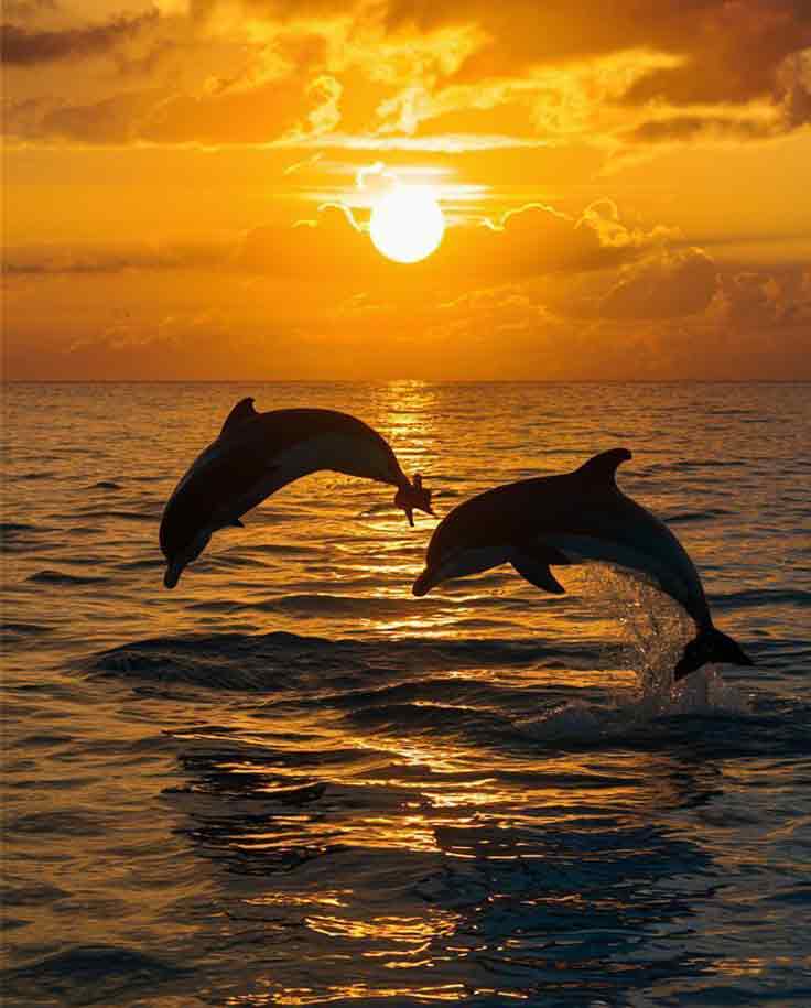 Adventure & Leisure