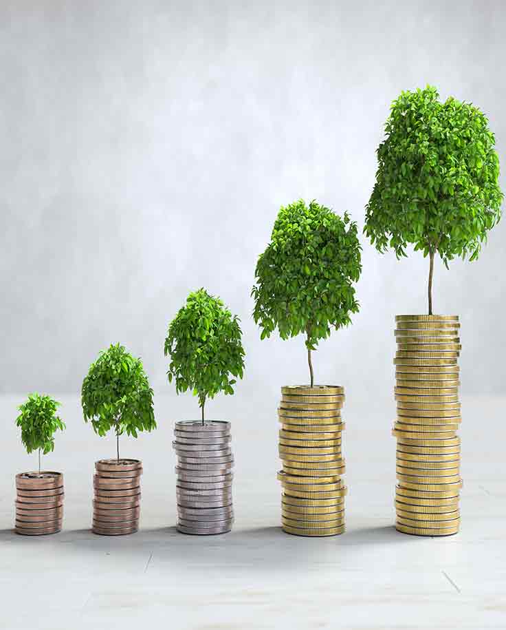 Earn consistent rental income